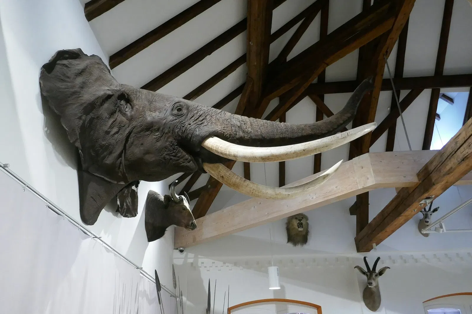 Museum im Ritterhaus