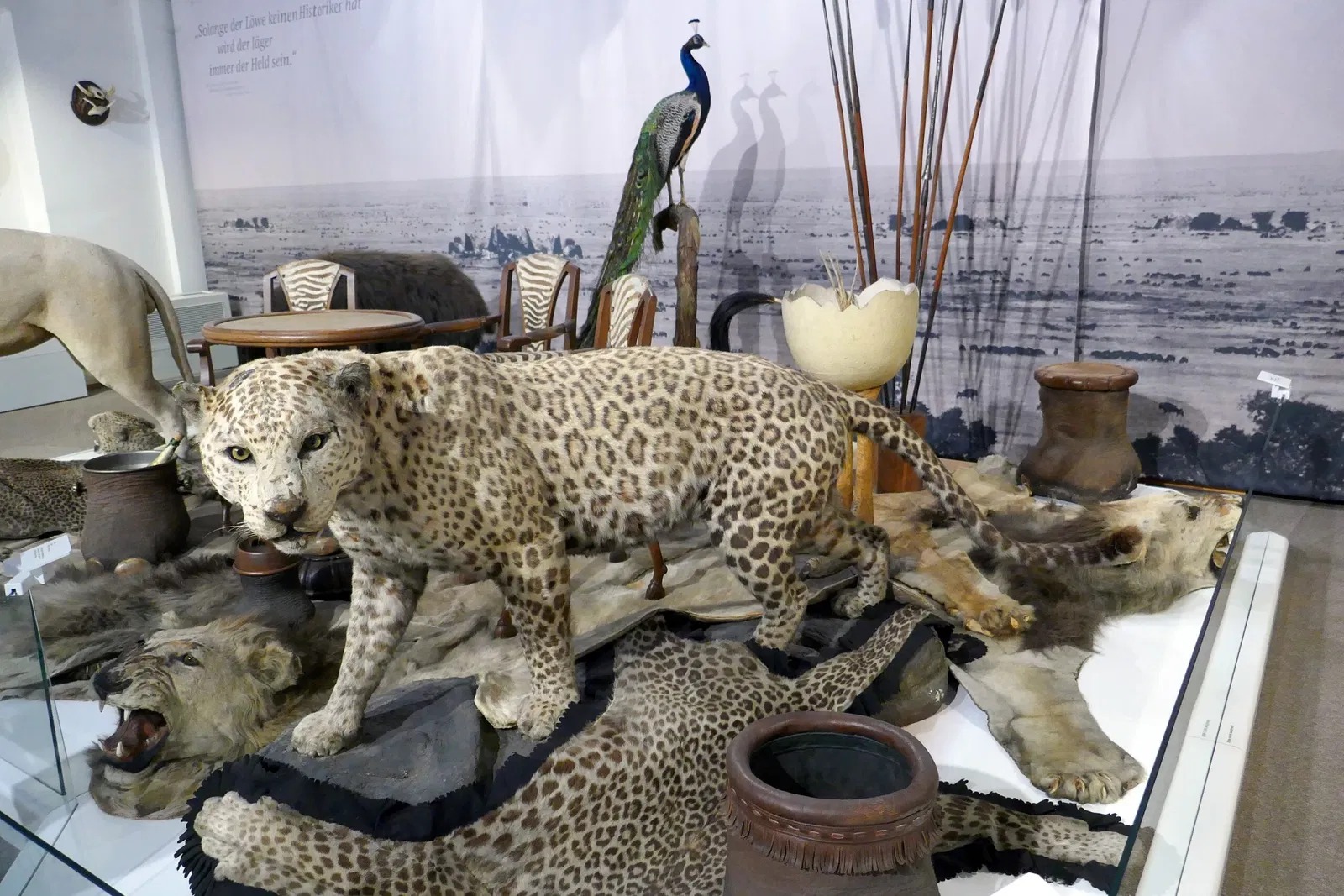 Museum im Ritterhaus