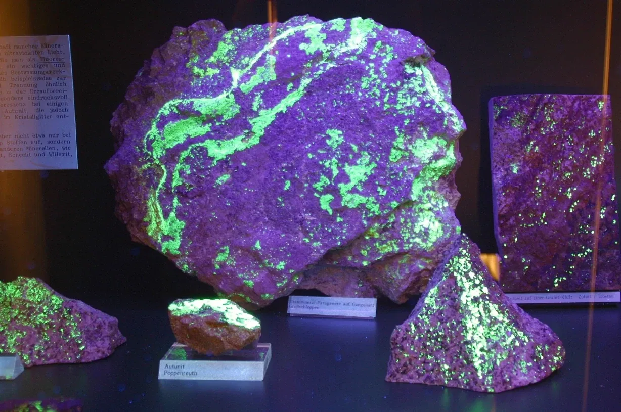 Fichtelgebirgsmuseum