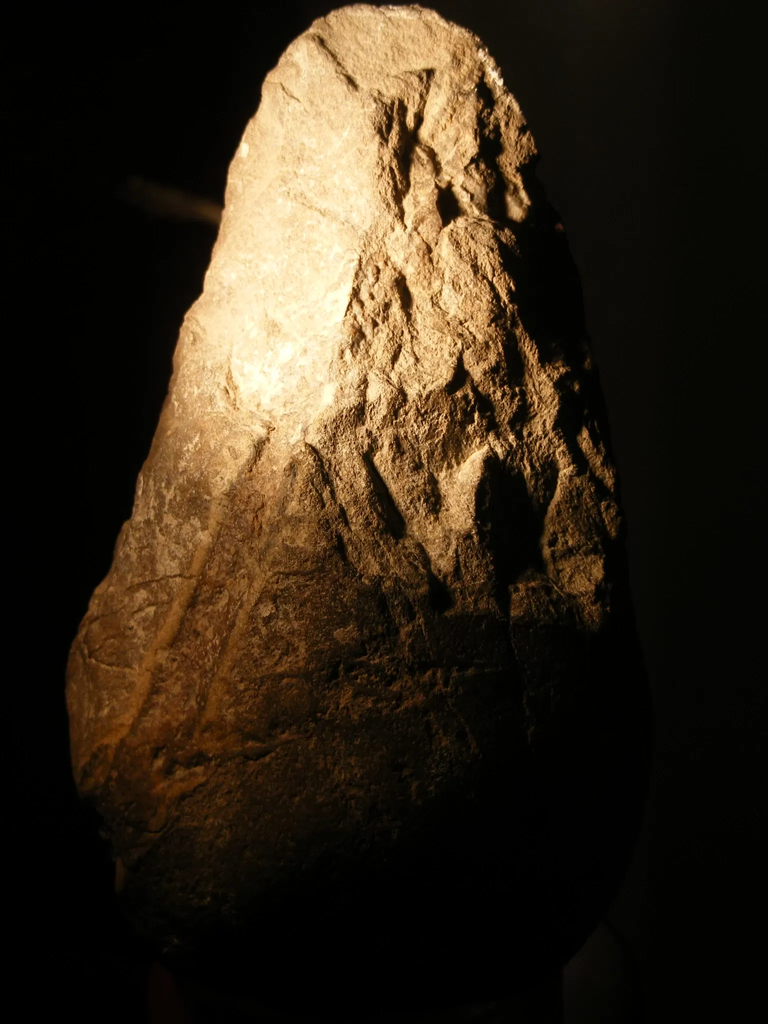 Museo del Mediterráneo