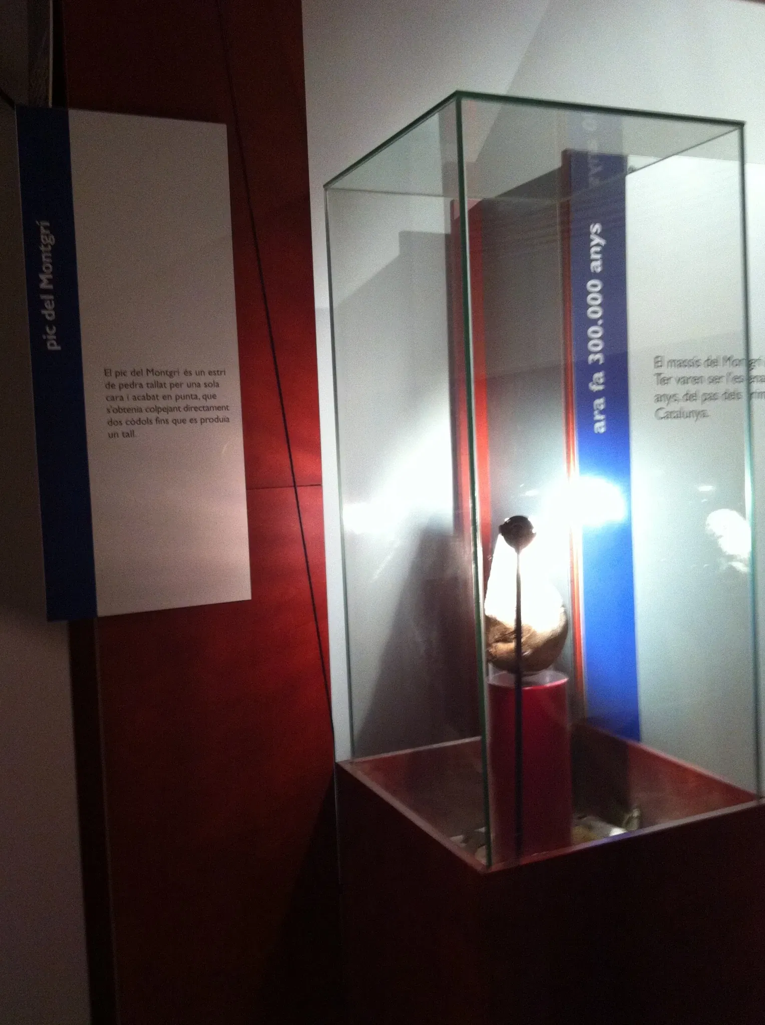 Museo del Mediterráneo