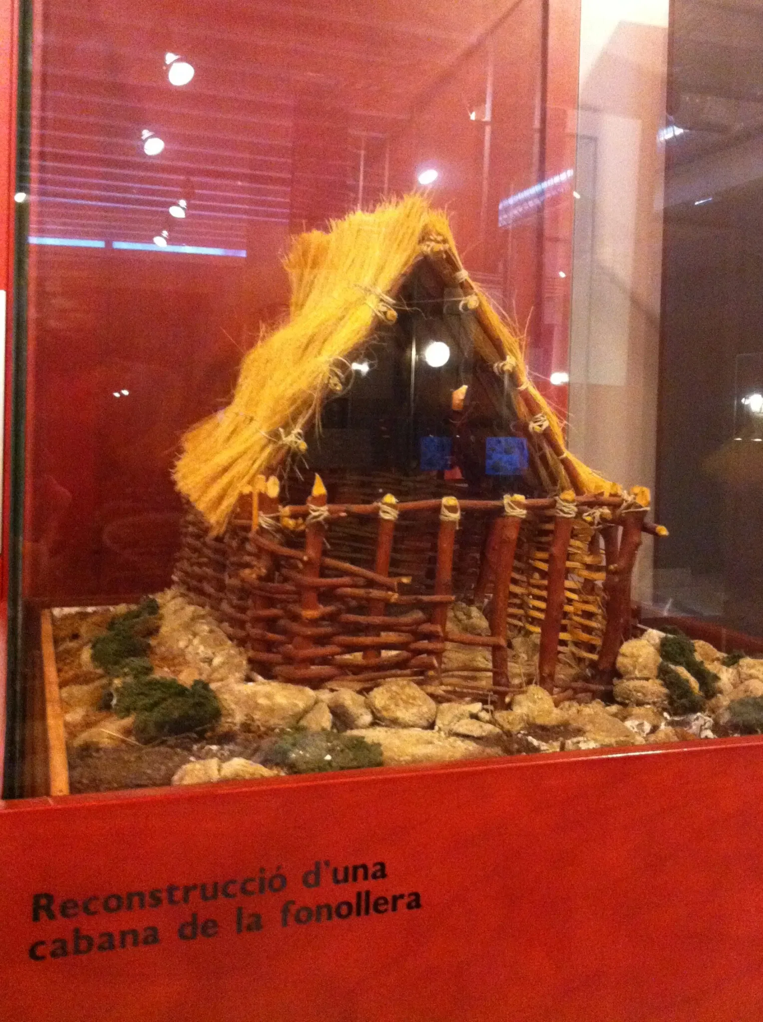 Museo del Mediterráneo