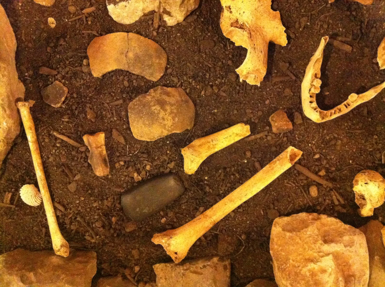 Musée de la Méditerranée