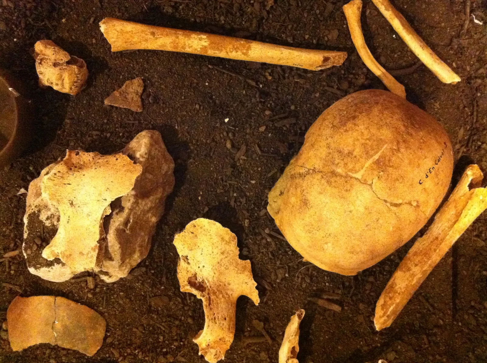 Museum of the Mediterranean