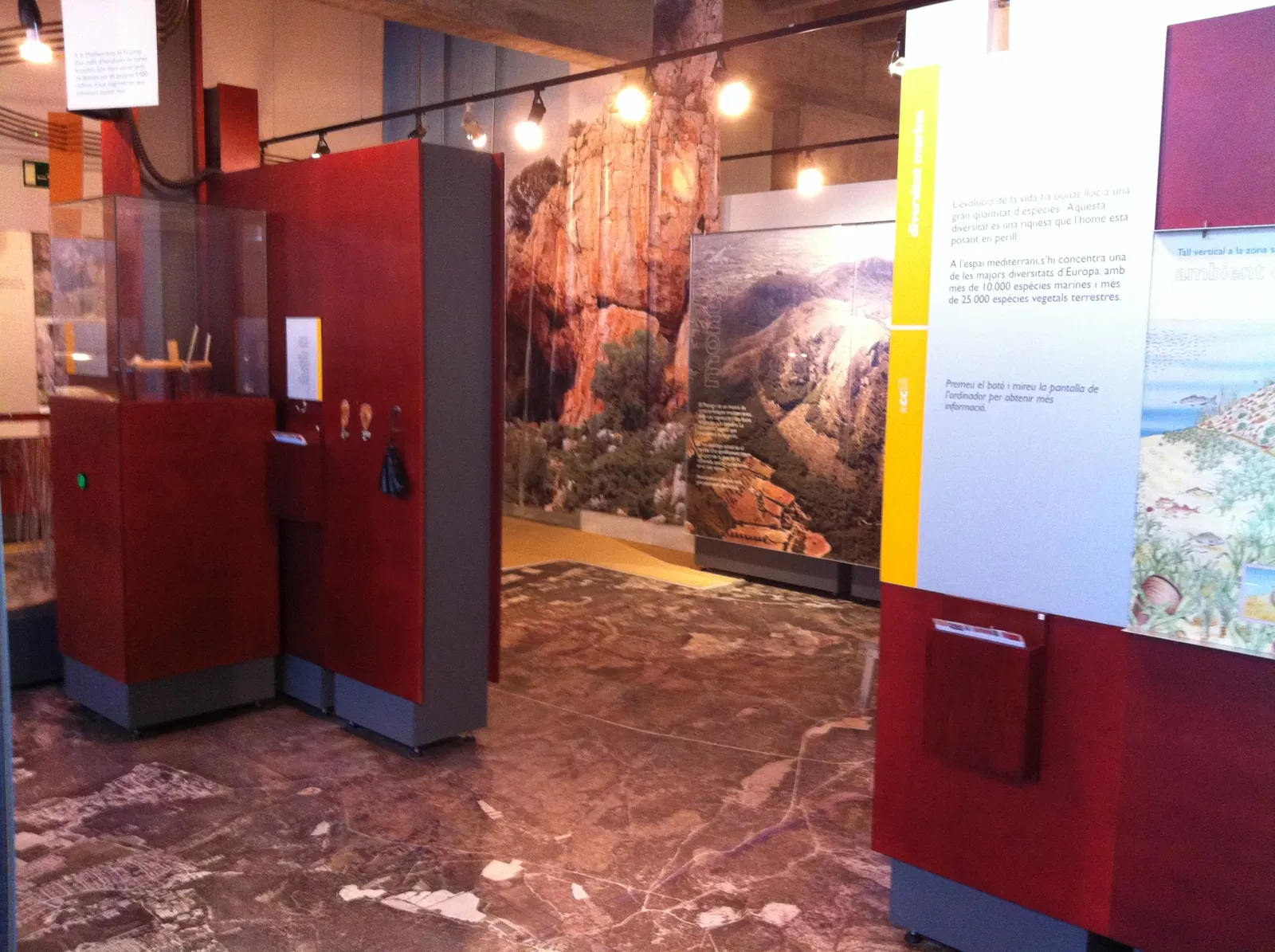 Museo del Mediterráneo