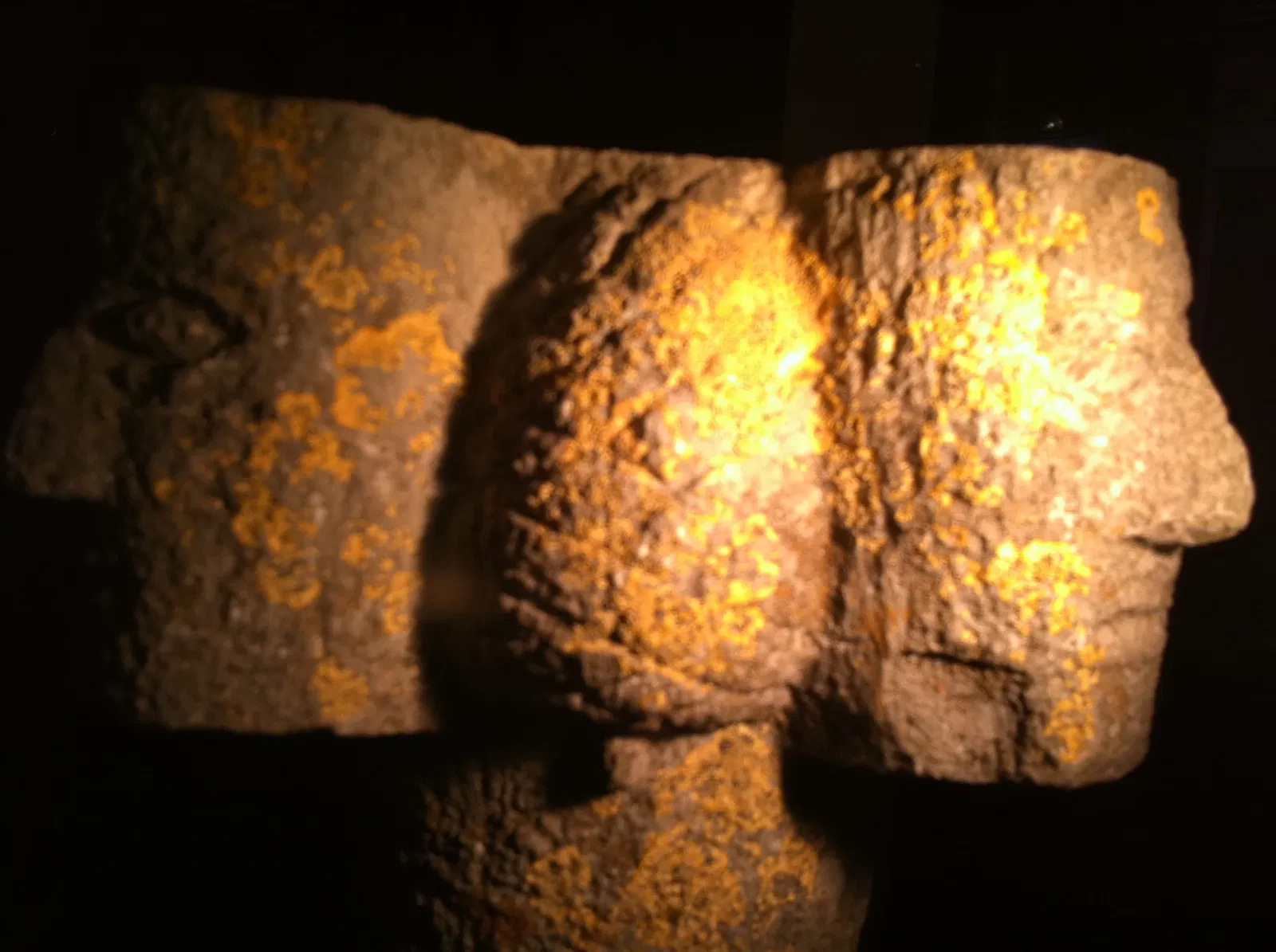 Museum of the Mediterranean