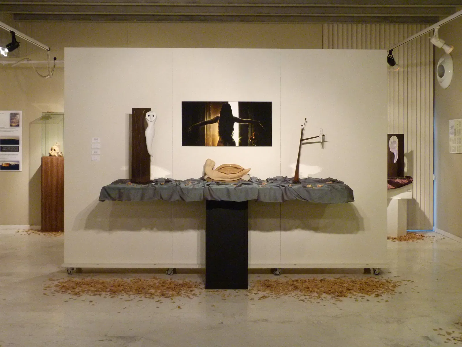 Musée de la Méditerranée