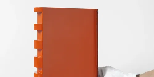 'Sumptuous Allegories of Nothingness': the book adaptation of Rodney Graham