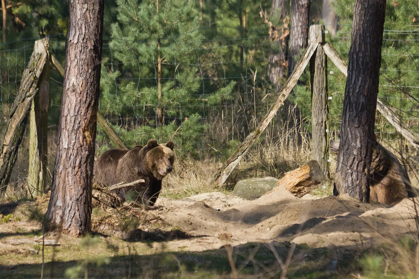 Wildpark Johannismühle