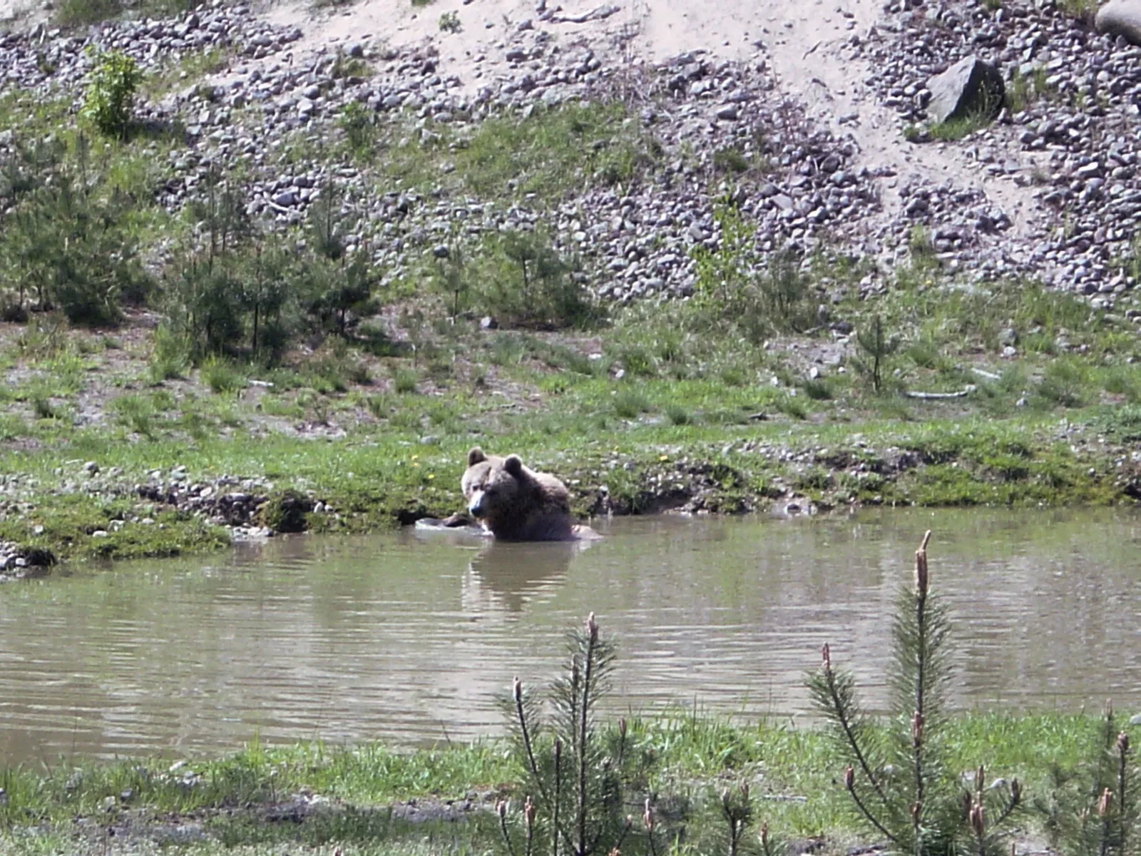 Wildpark Johannismühle