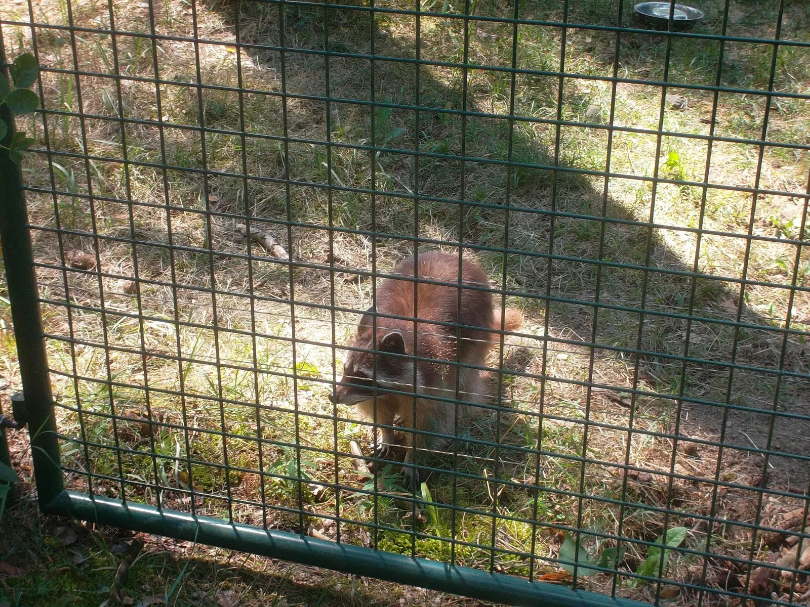 Wildpark Johannismühle