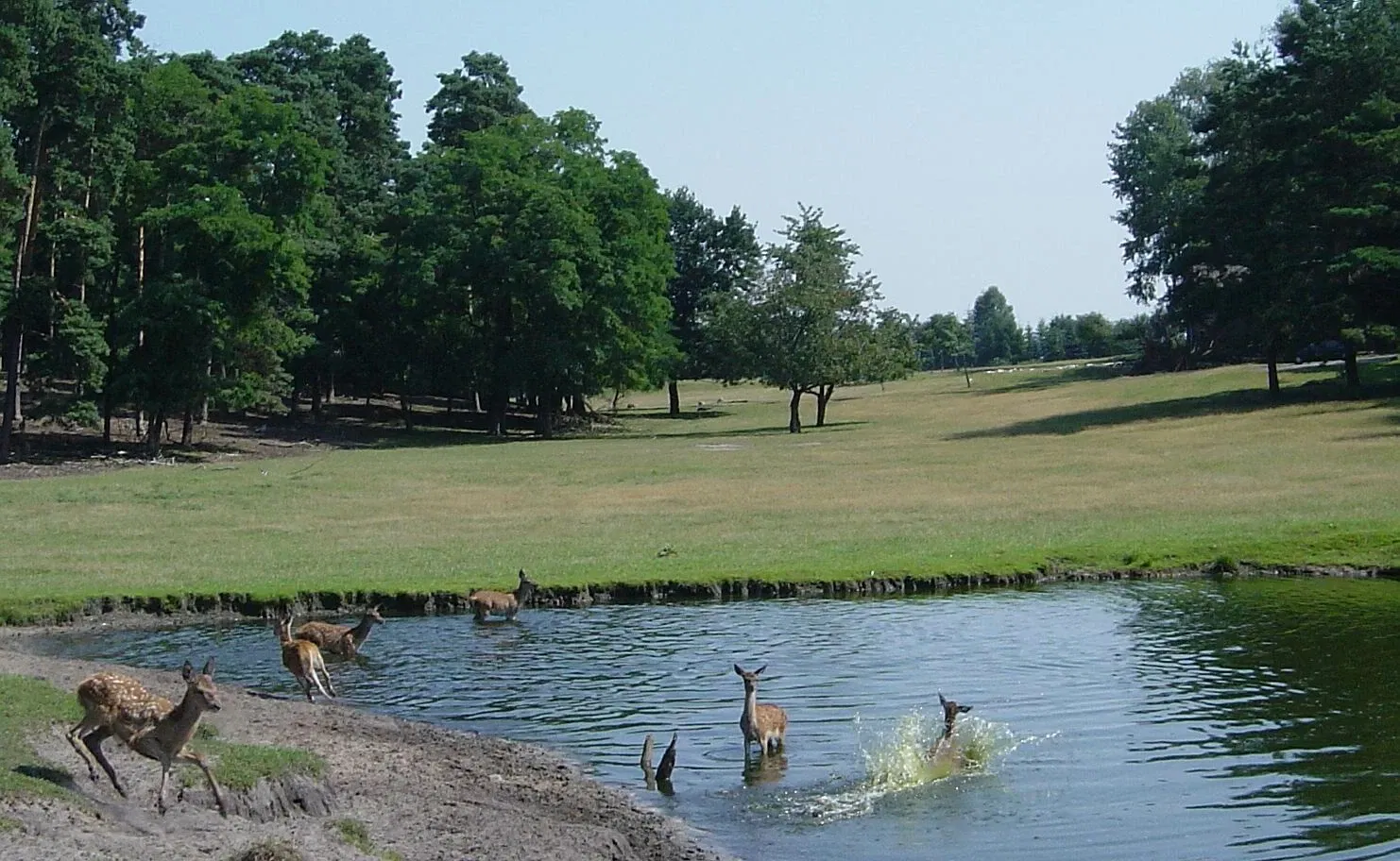 Wildpark Johannismühle