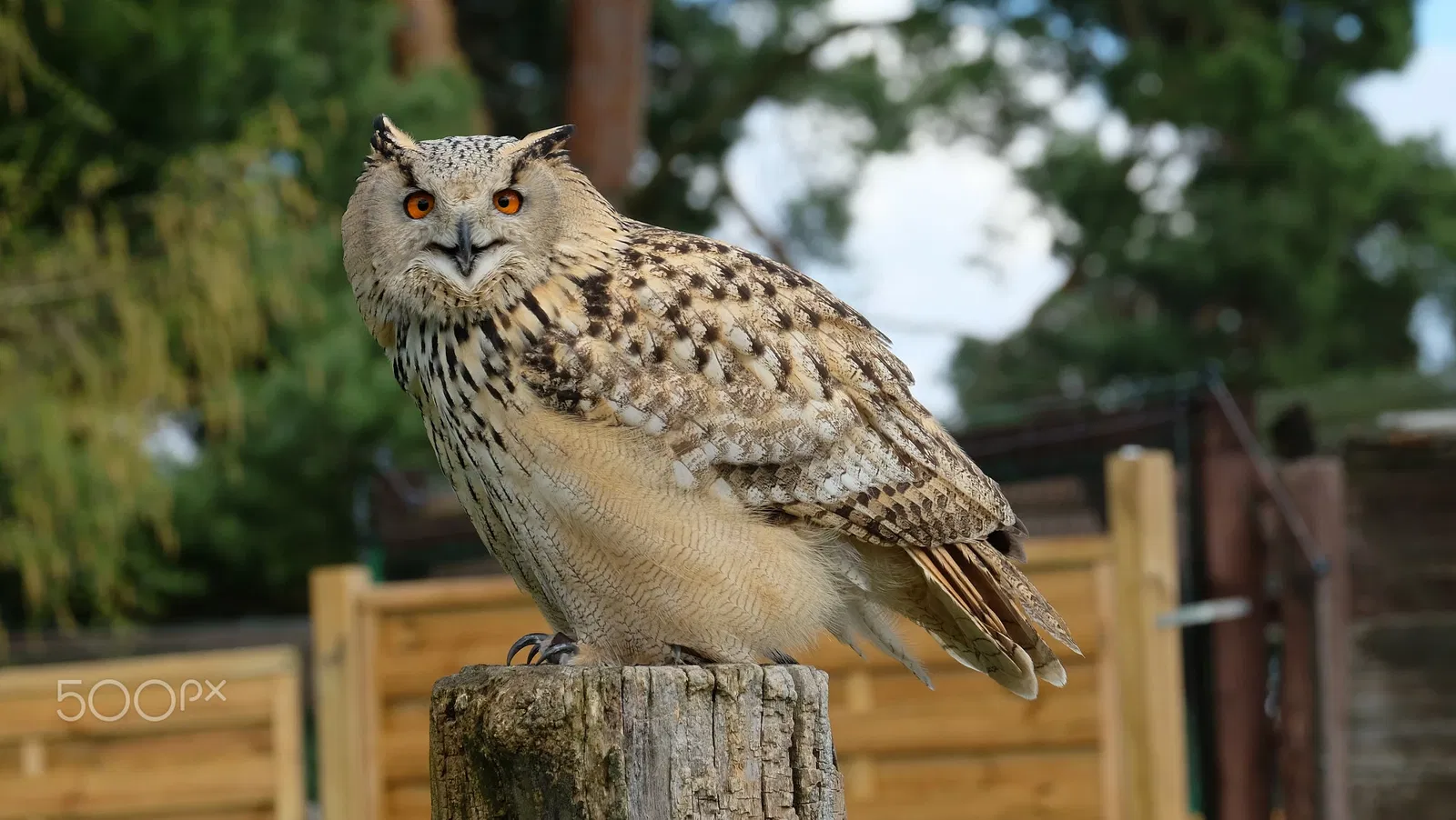 Wildpark Johannismühle