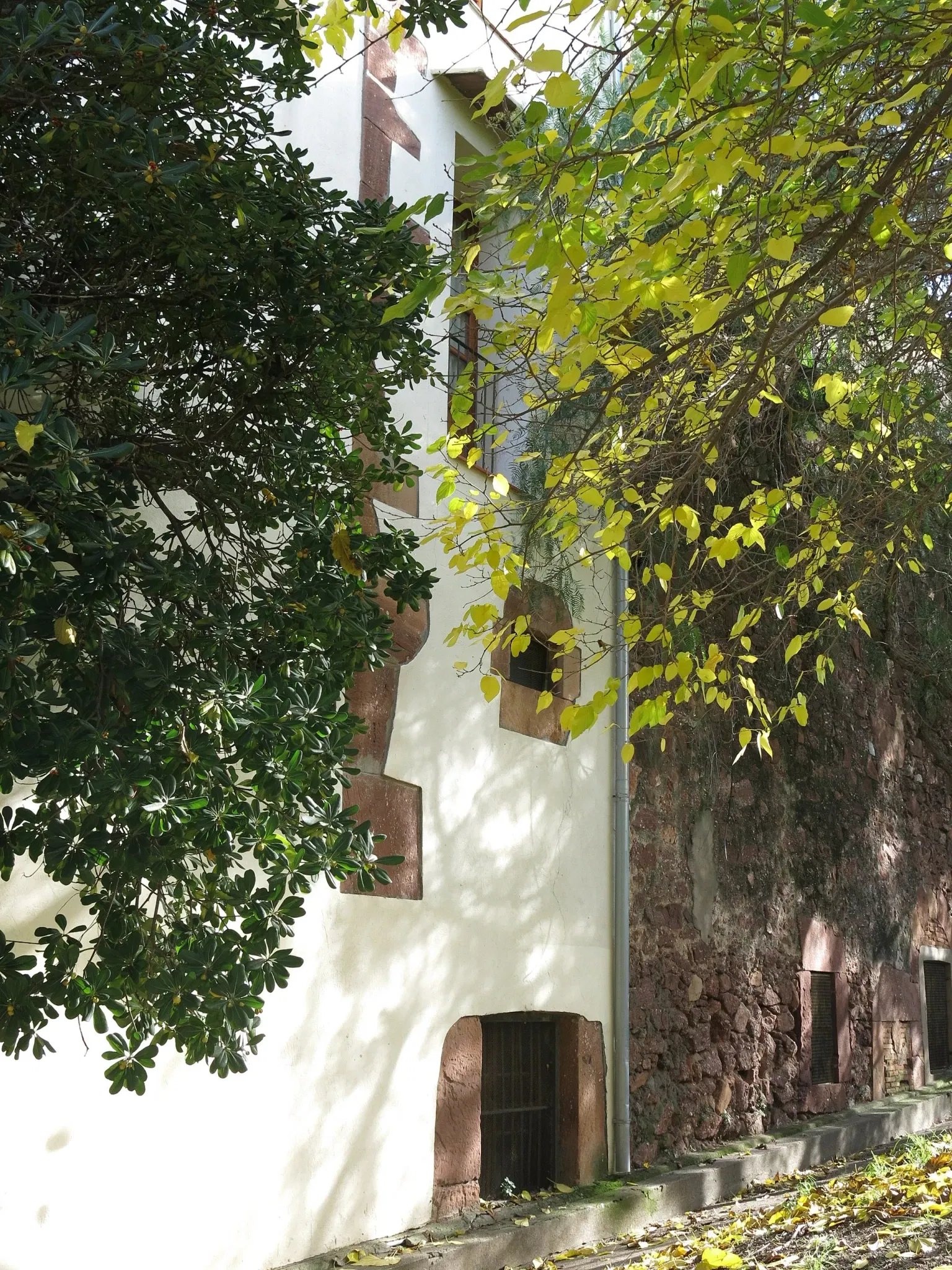 Vicenç Ros Municipal Museum