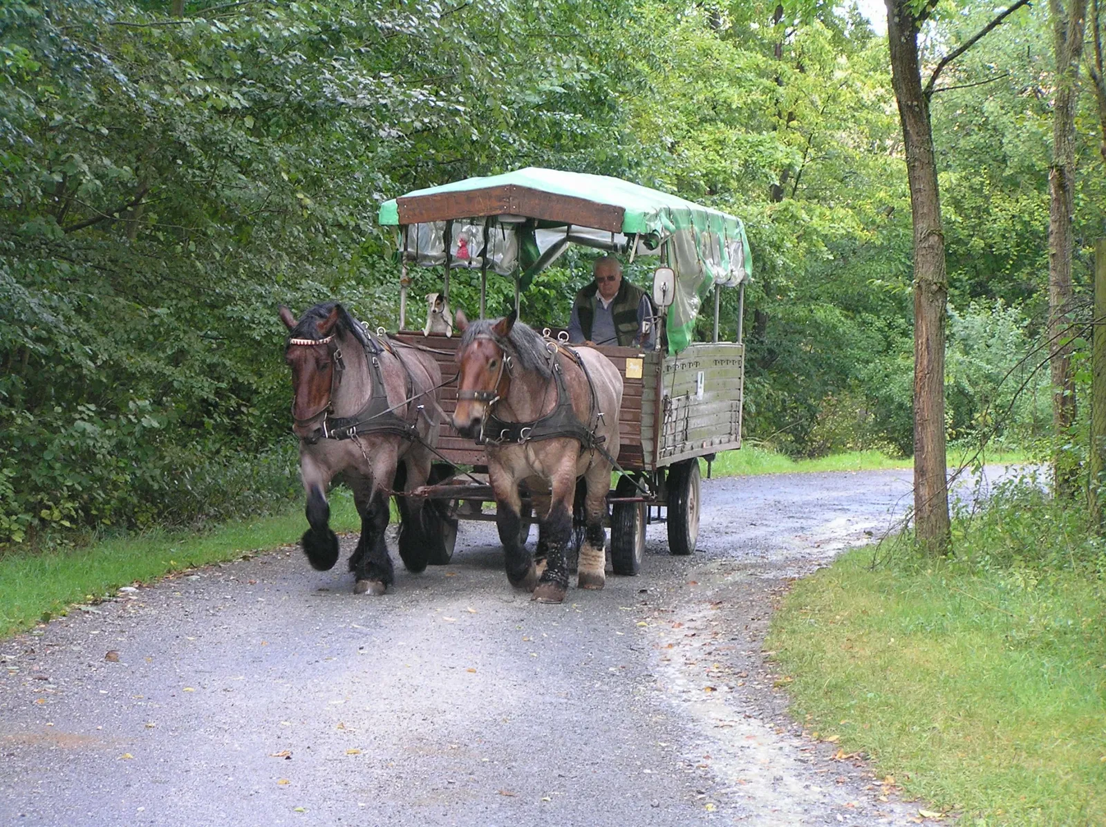 Freilichtmuseum Hessenpark