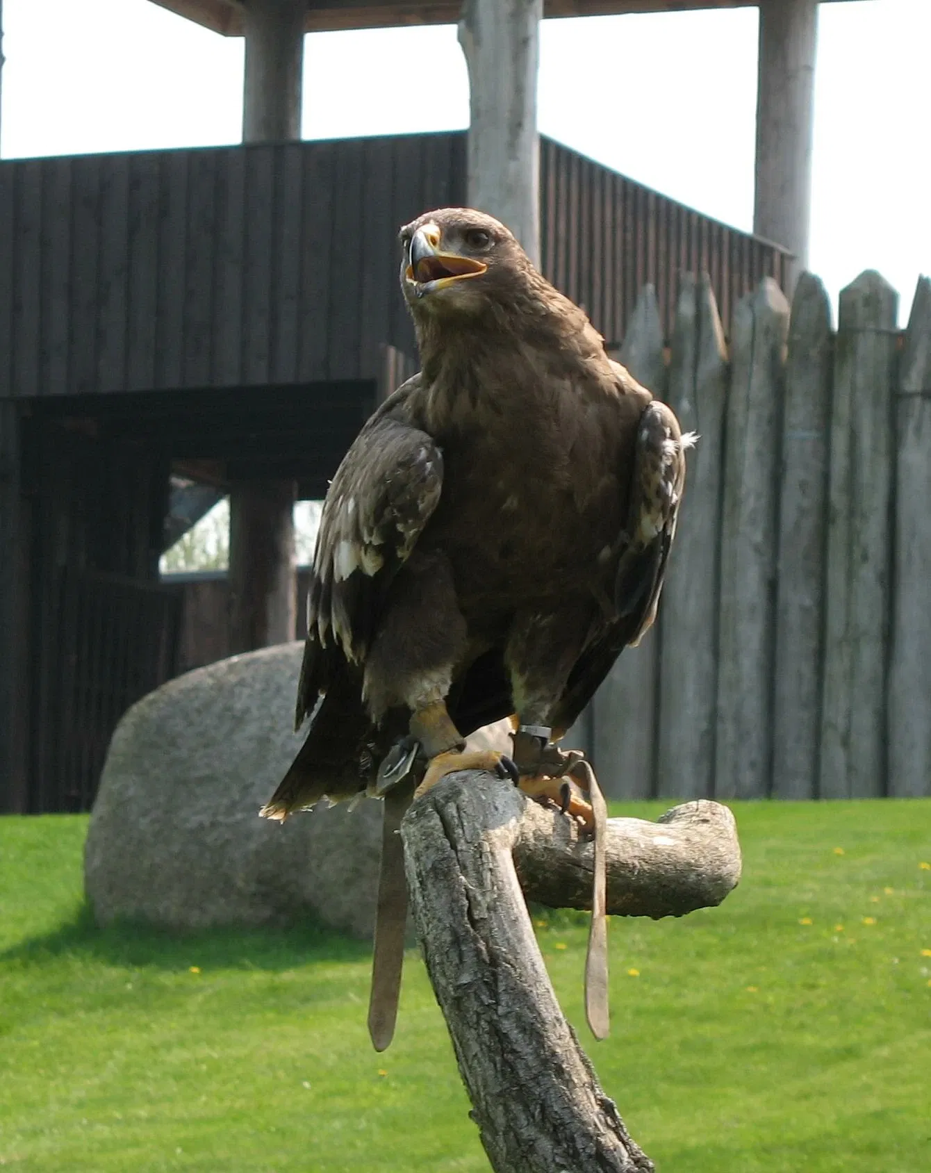 Vogelpark Marlow