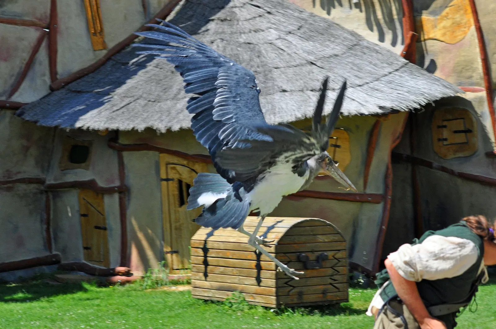Vogelpark Marlow
