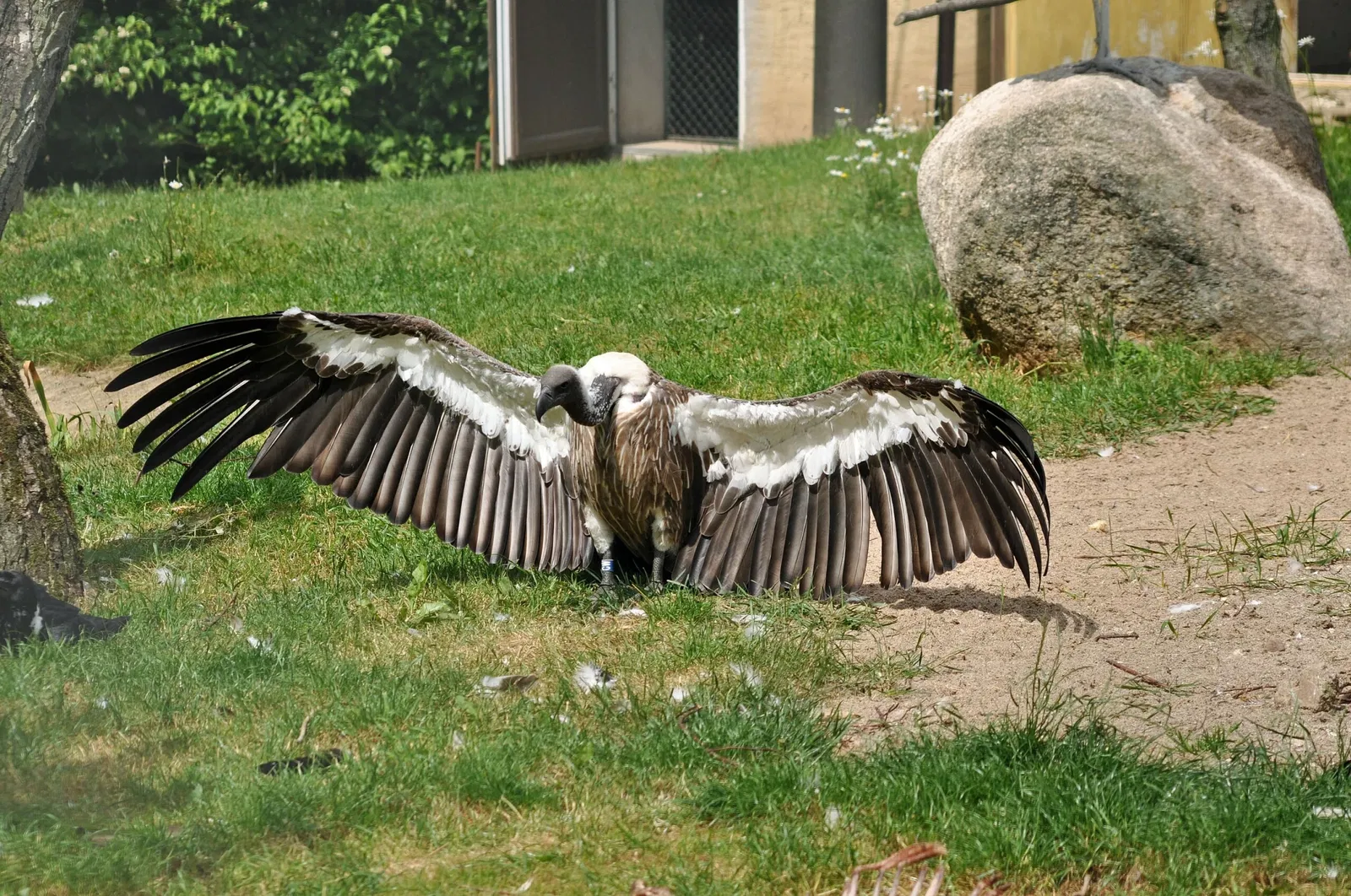 Vogelpark Marlow