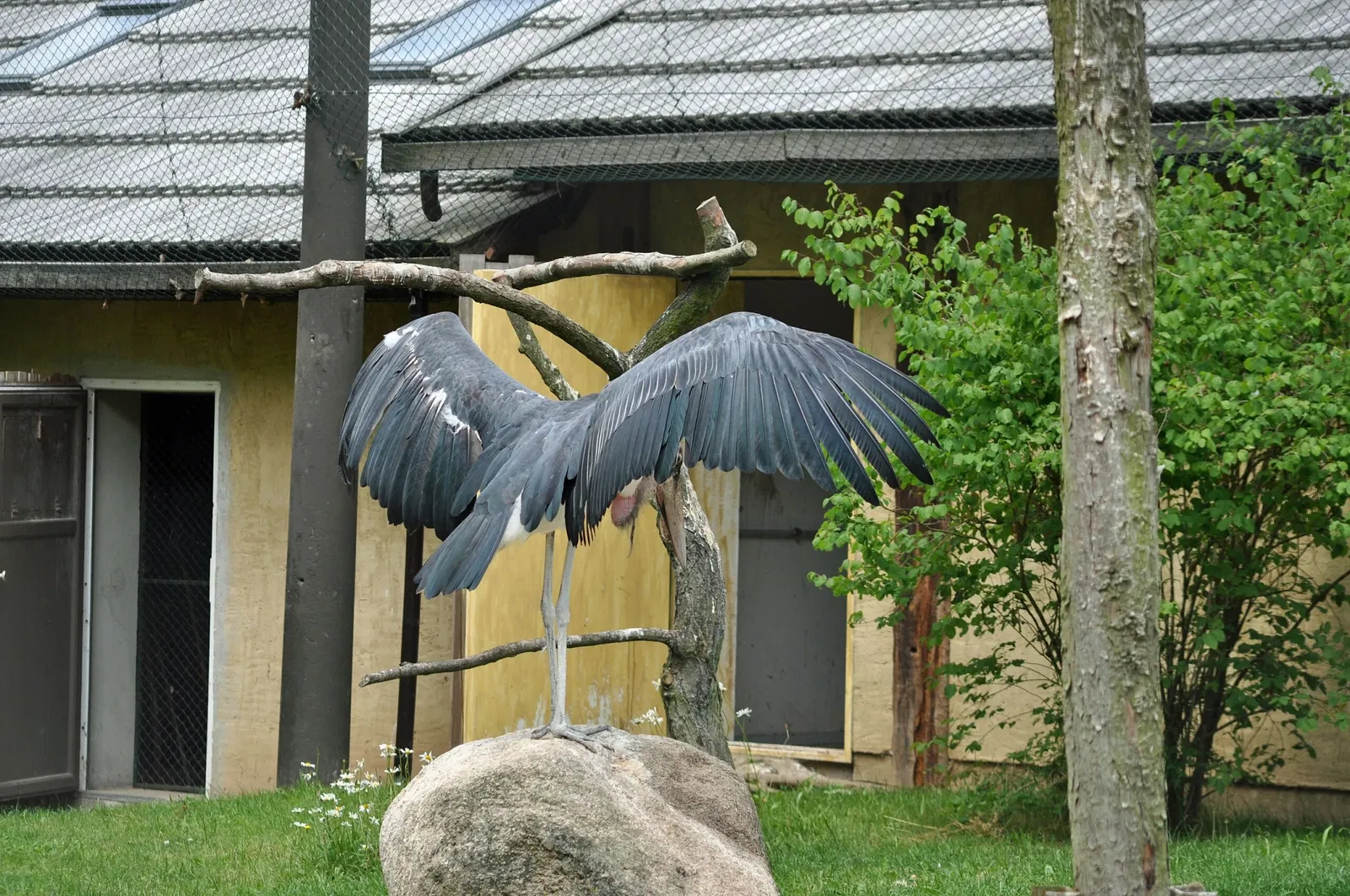 Vogelpark Marlow