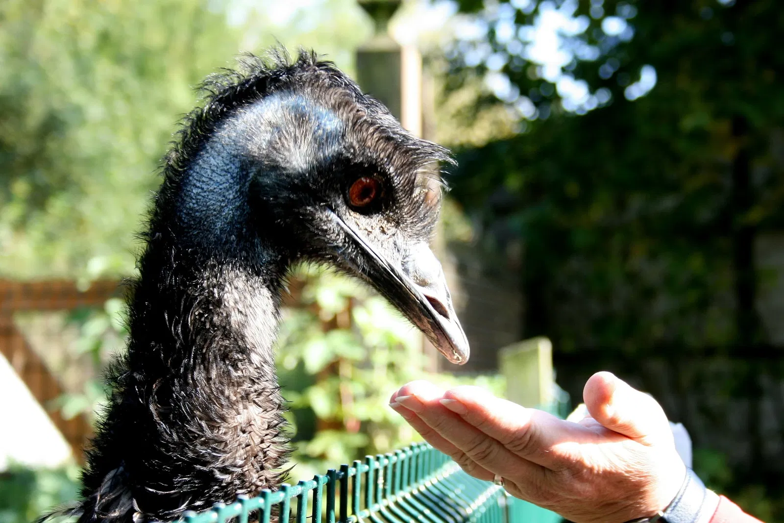 Affen- und Vogelpark Eckenhagen