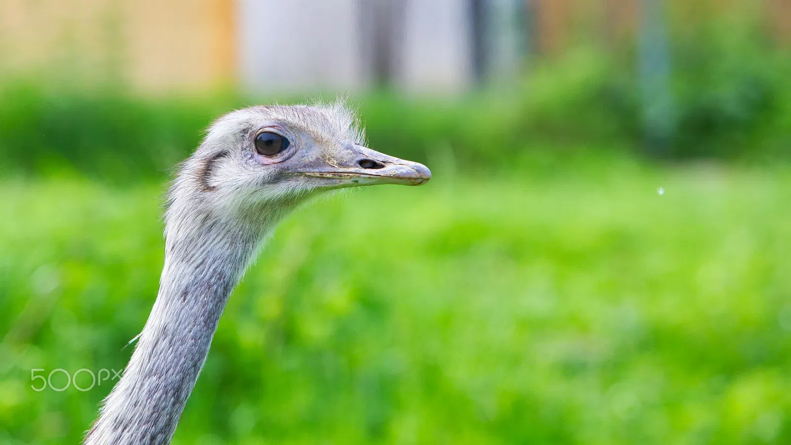 Affen- und Vogelpark Eckenhagen