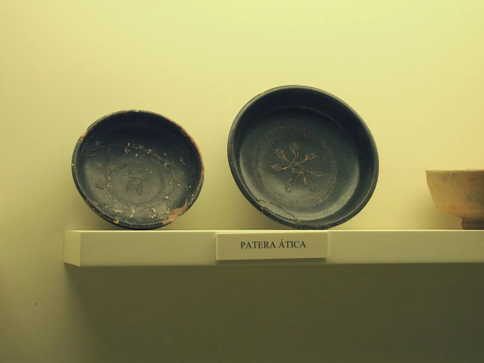 Museo Histórico y Arqueológico