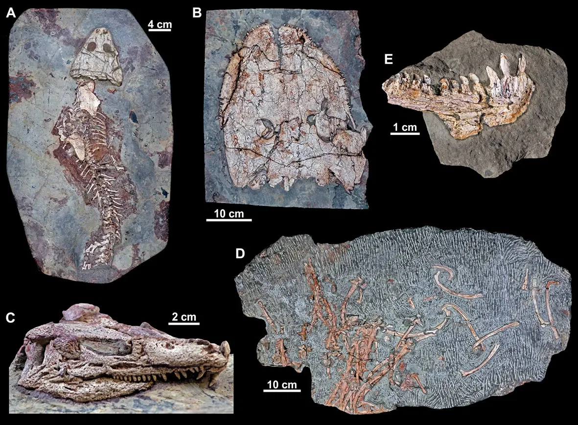 Urweltmuseum Geoskop