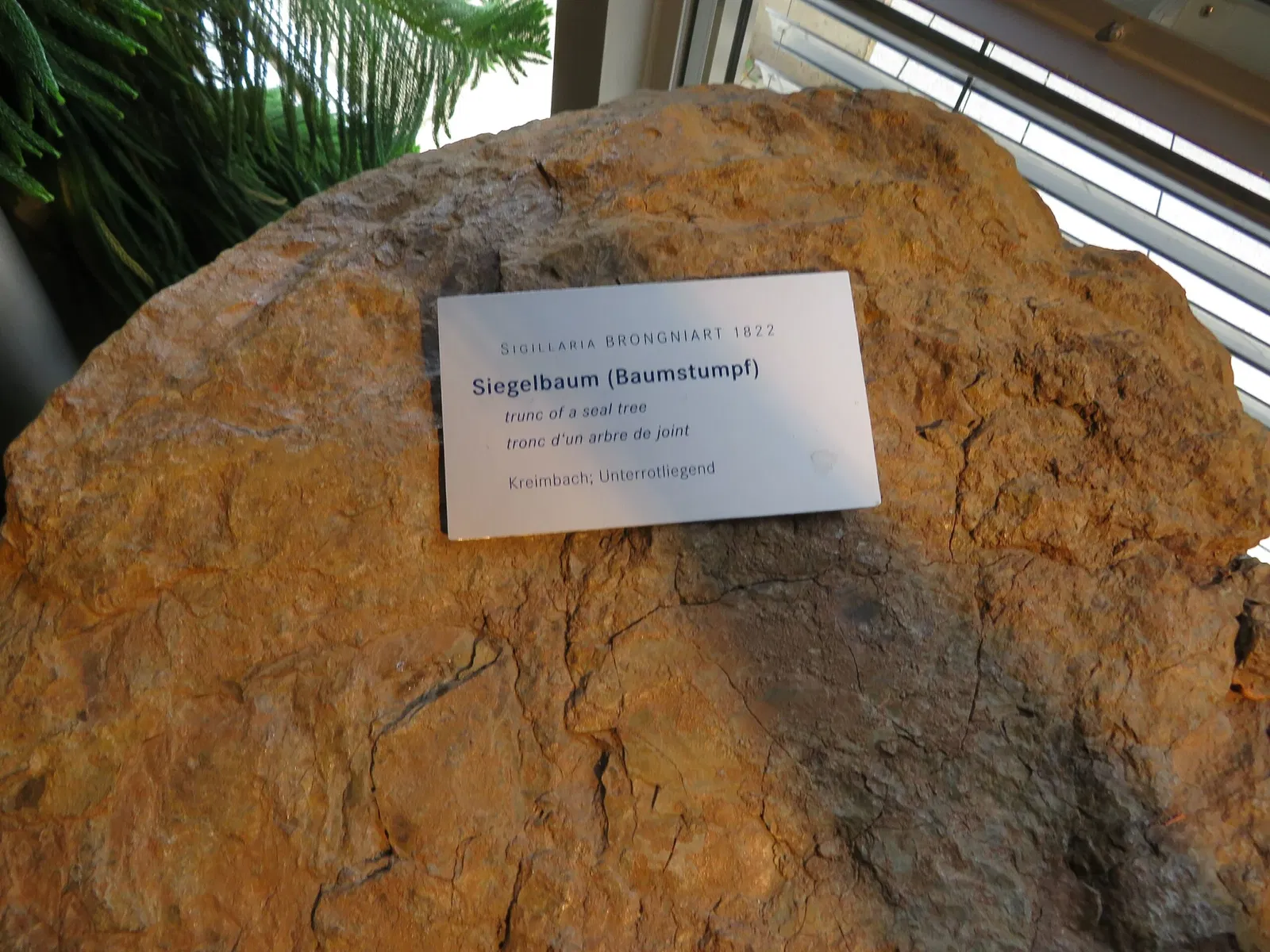 Urweltmuseum Geoskop