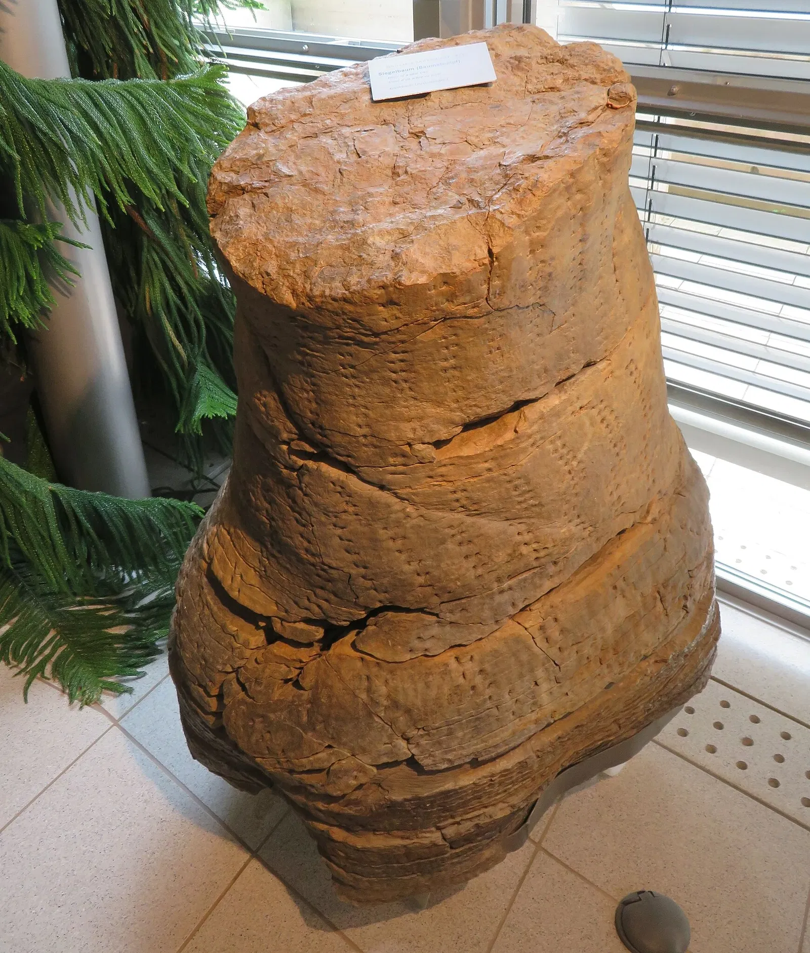 Urweltmuseum Geoskop