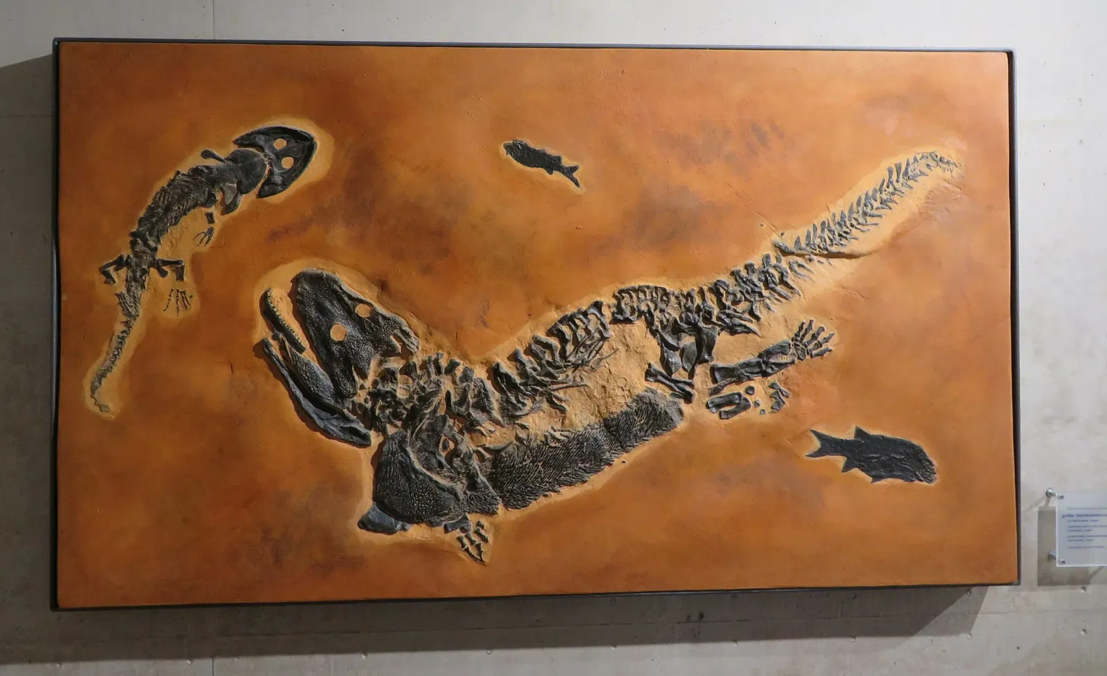 Urweltmuseum Geoskop