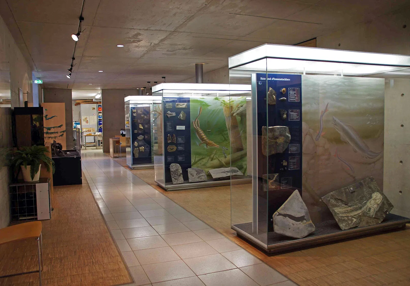 Urweltmuseum Geoskop