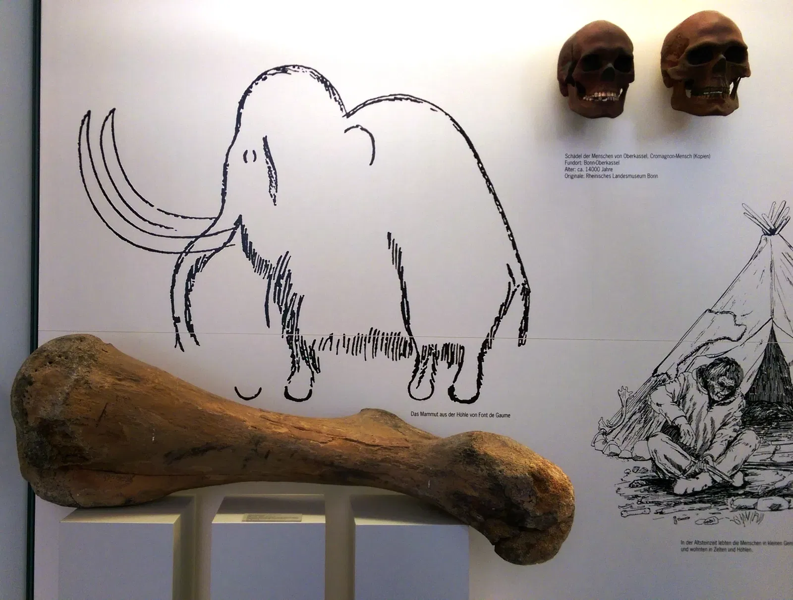 Stadtmuseum Siegburg