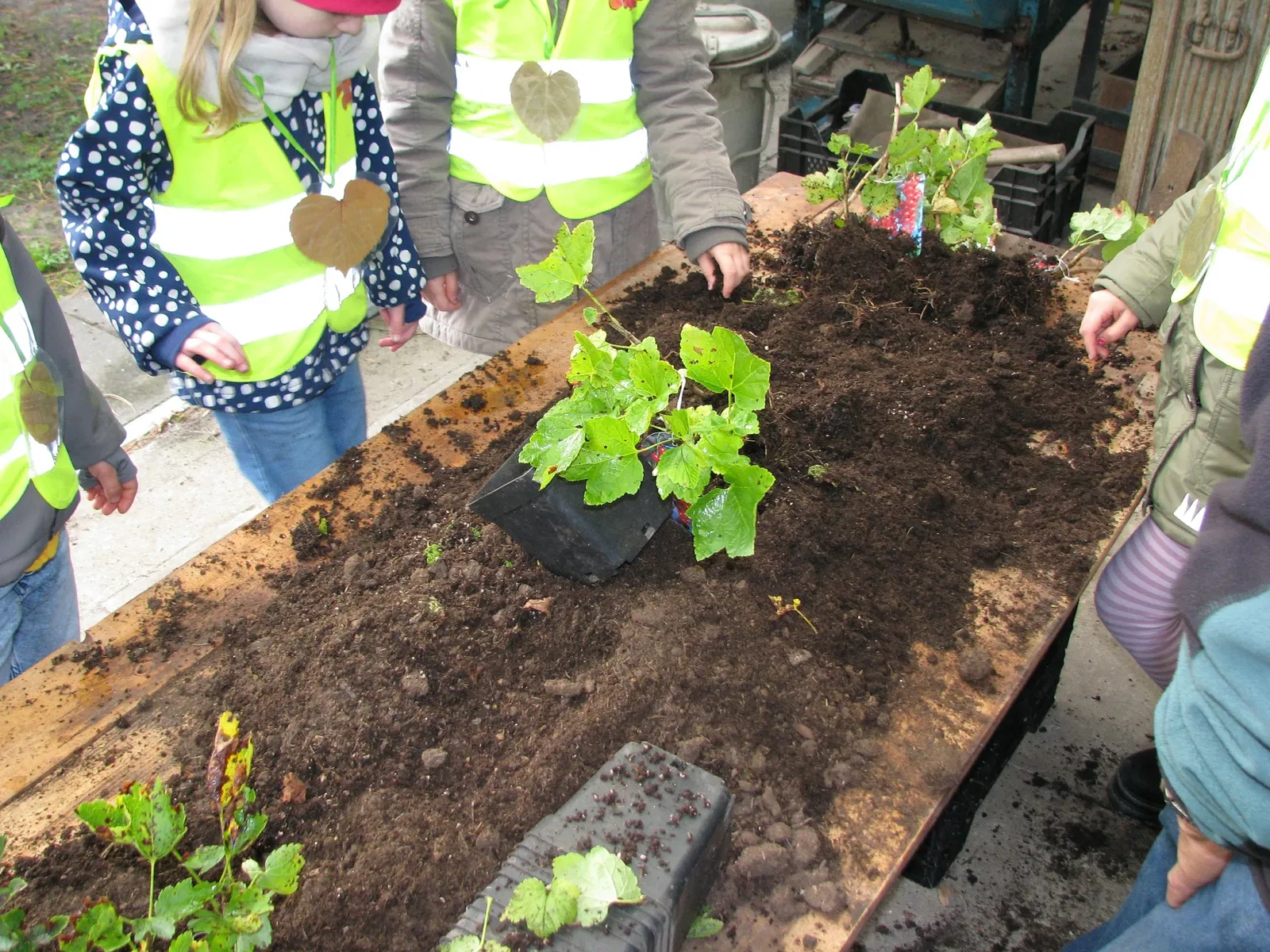 Deutsches Baumschulmuseum