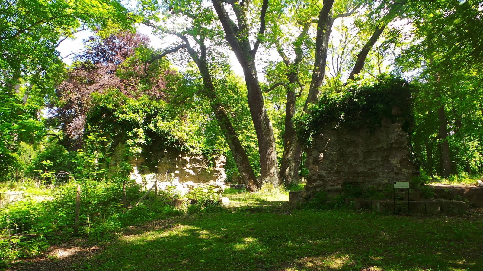 Abbazia di Disibodenberg