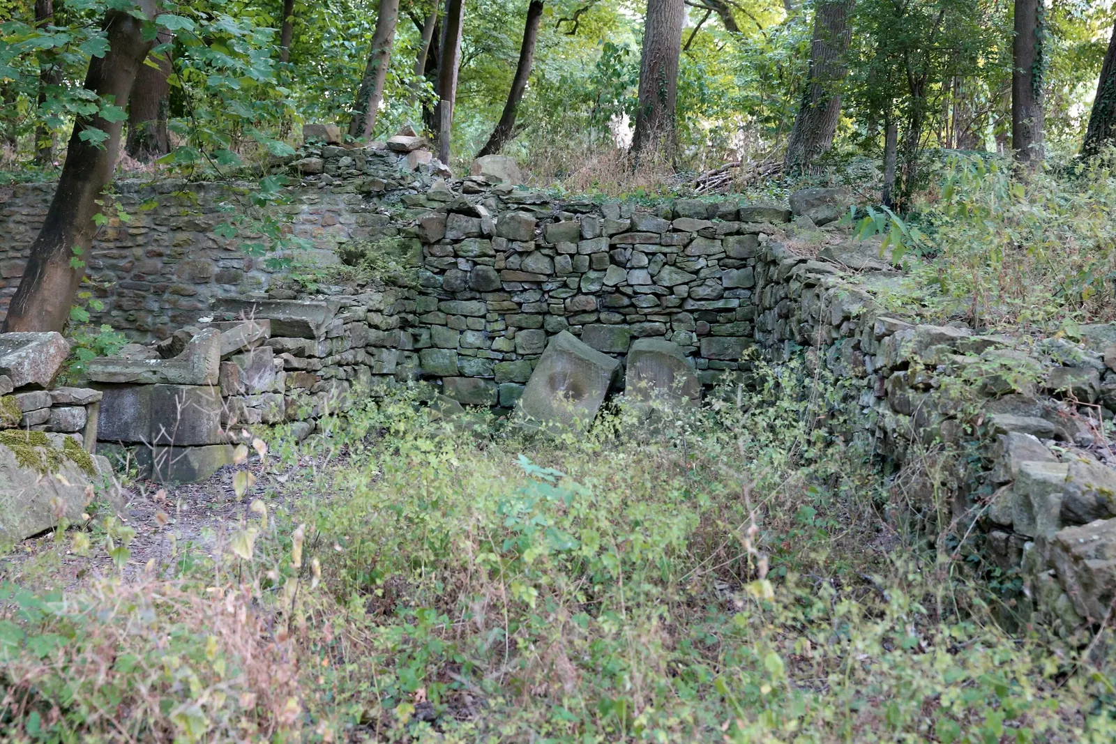 Abbazia di Disibodenberg
