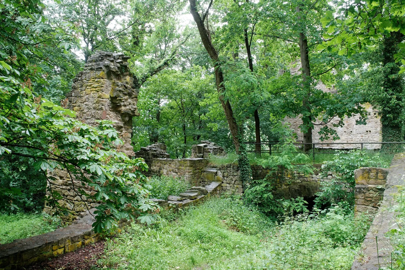 Abbazia di Disibodenberg