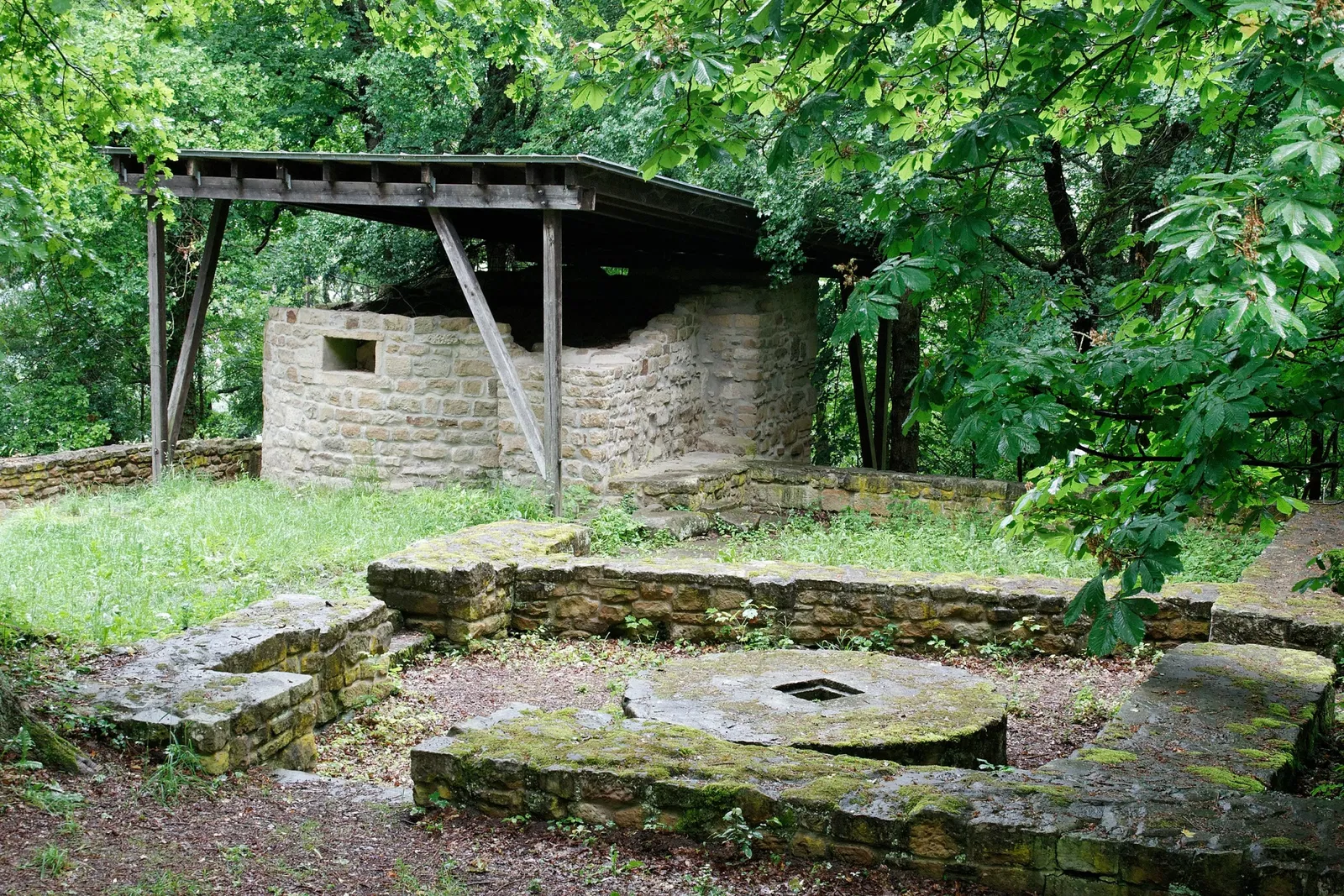 Abbaye de Disibodenberg