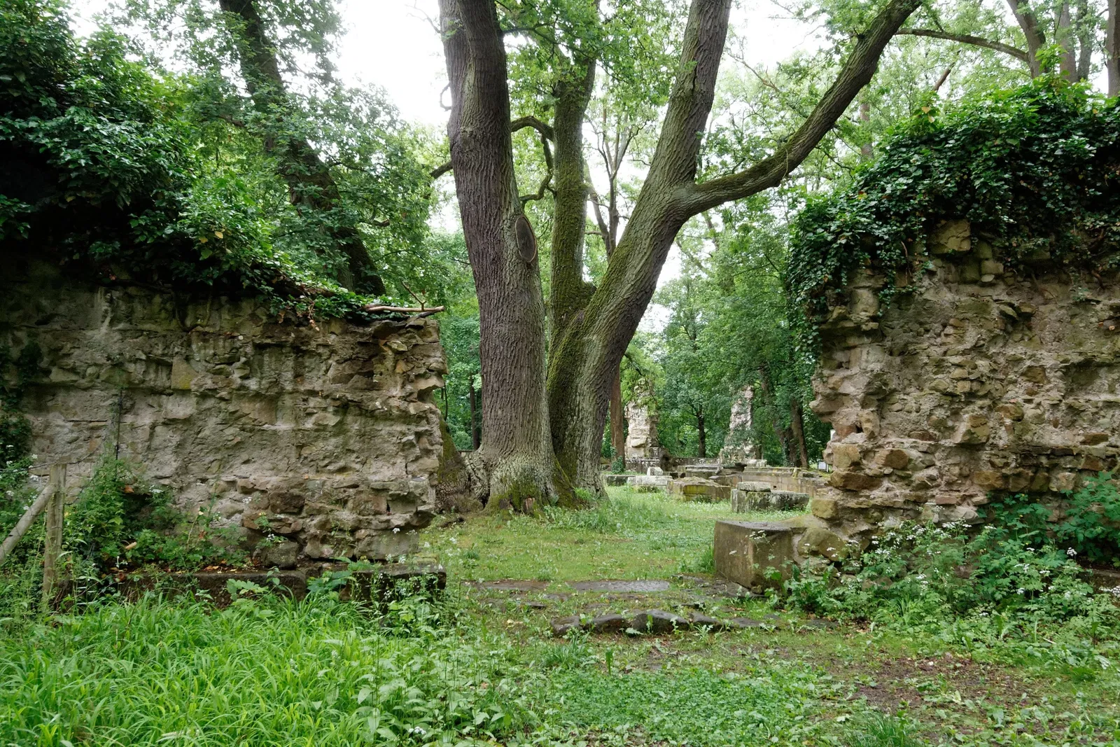 Abbaye de Disibodenberg