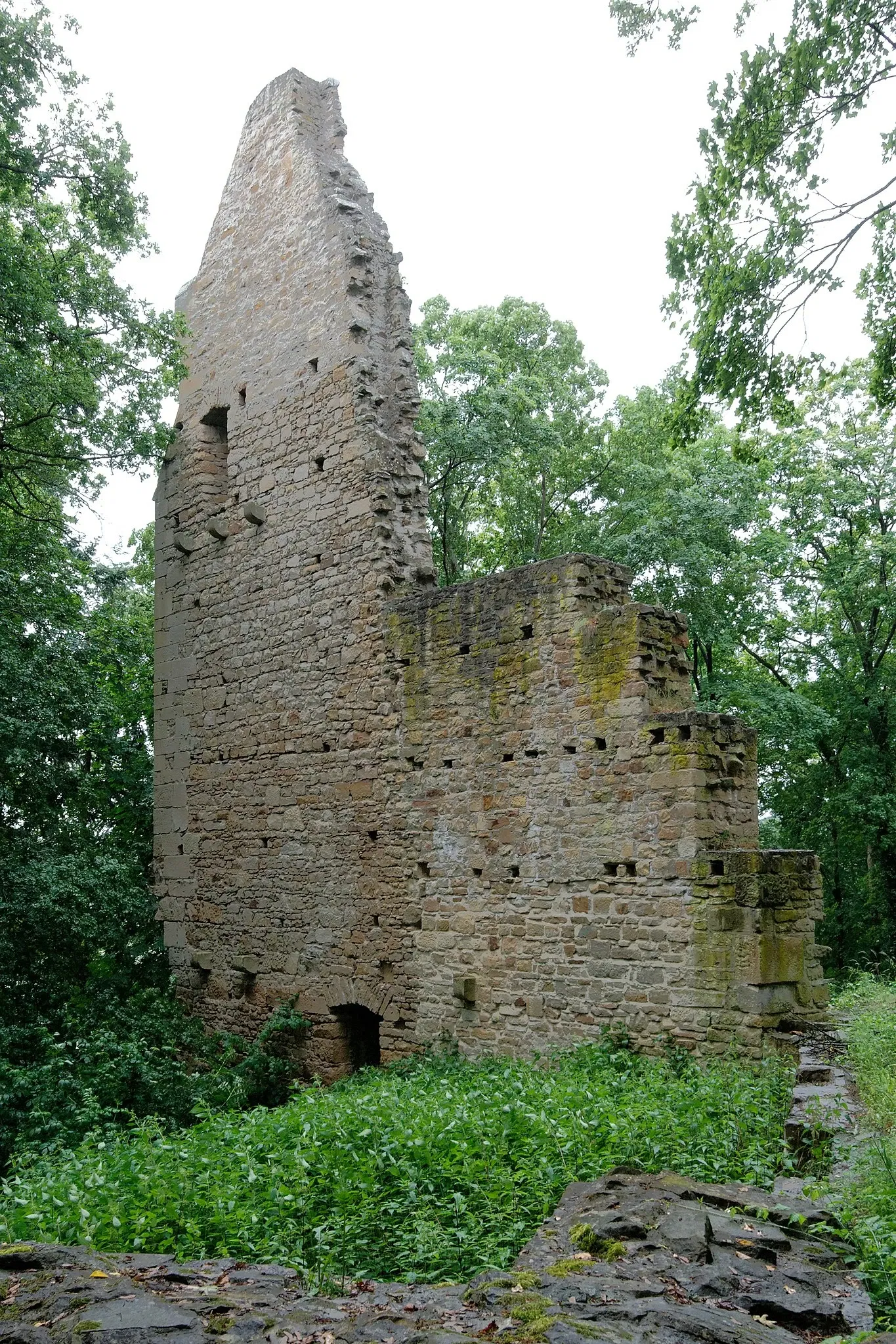 Abbaye de Disibodenberg