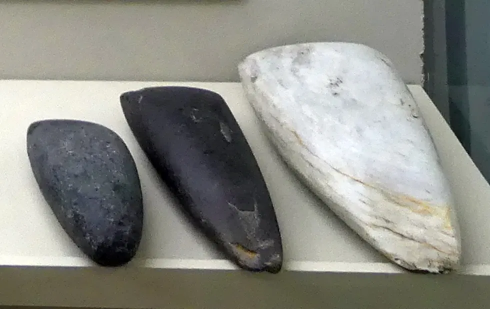 Municipal History Museum of Écija