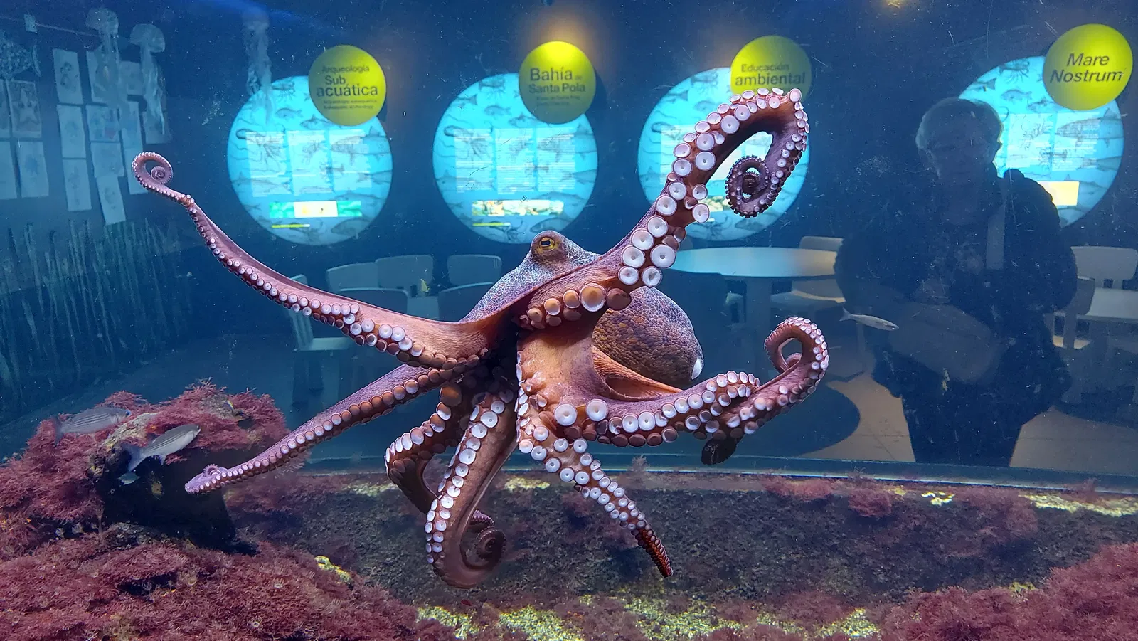 Santa Pola Aquarium • Relinde