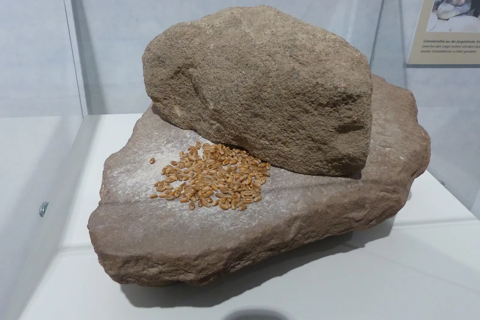 Steinzeitmuseum Korb-Kleinheppach