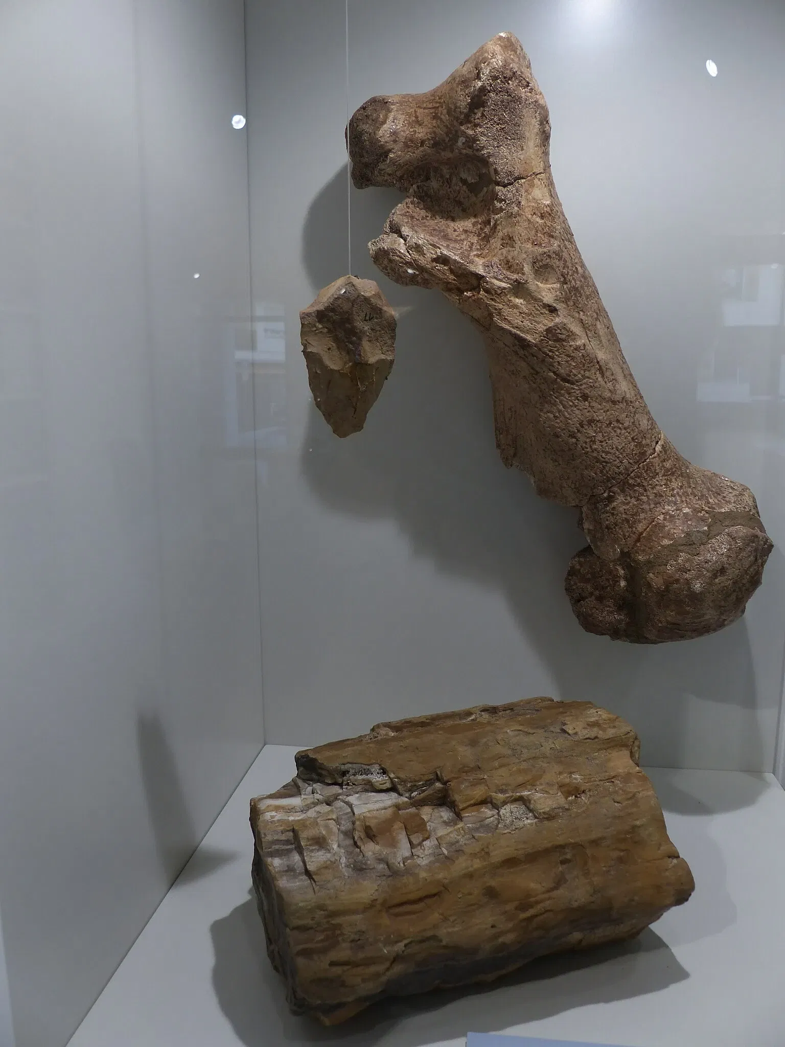 Steinzeitmuseum Korb-Kleinheppach