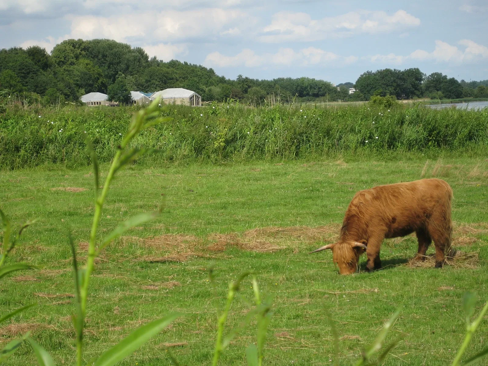 Hedeby Viking Museum