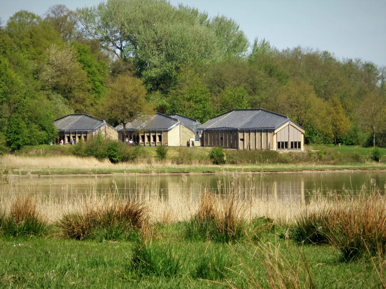 Museo Vikingo de Hedeby