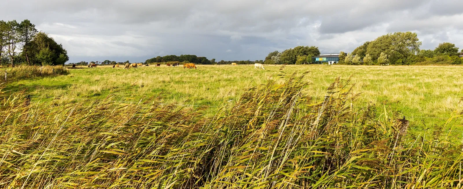 Nolde Stiftung Seebüll