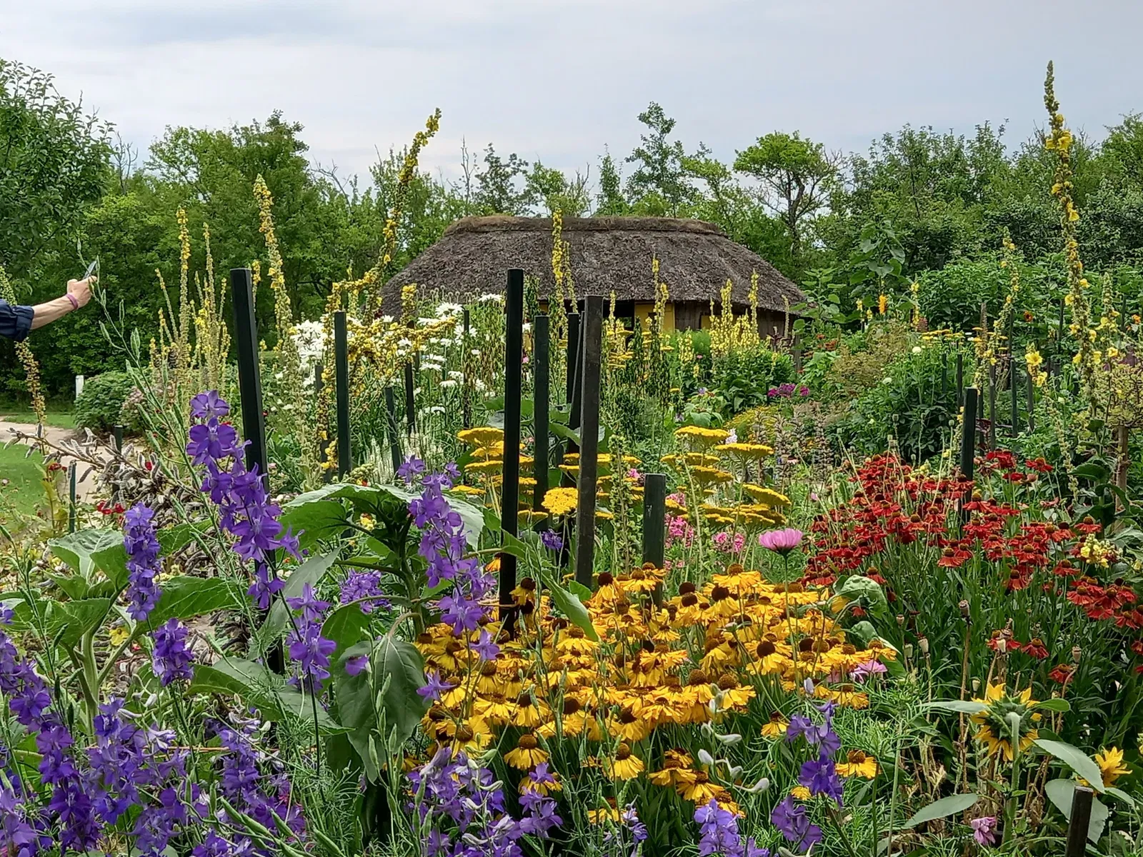 Nolde Stiftung Seebüll