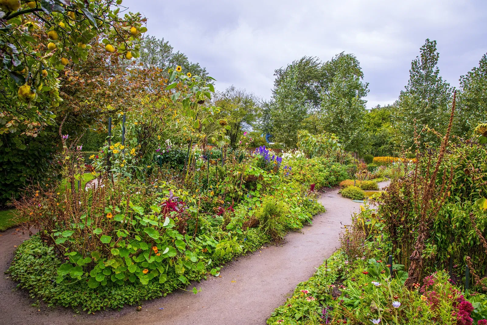 Nolde Stiftung Seebüll