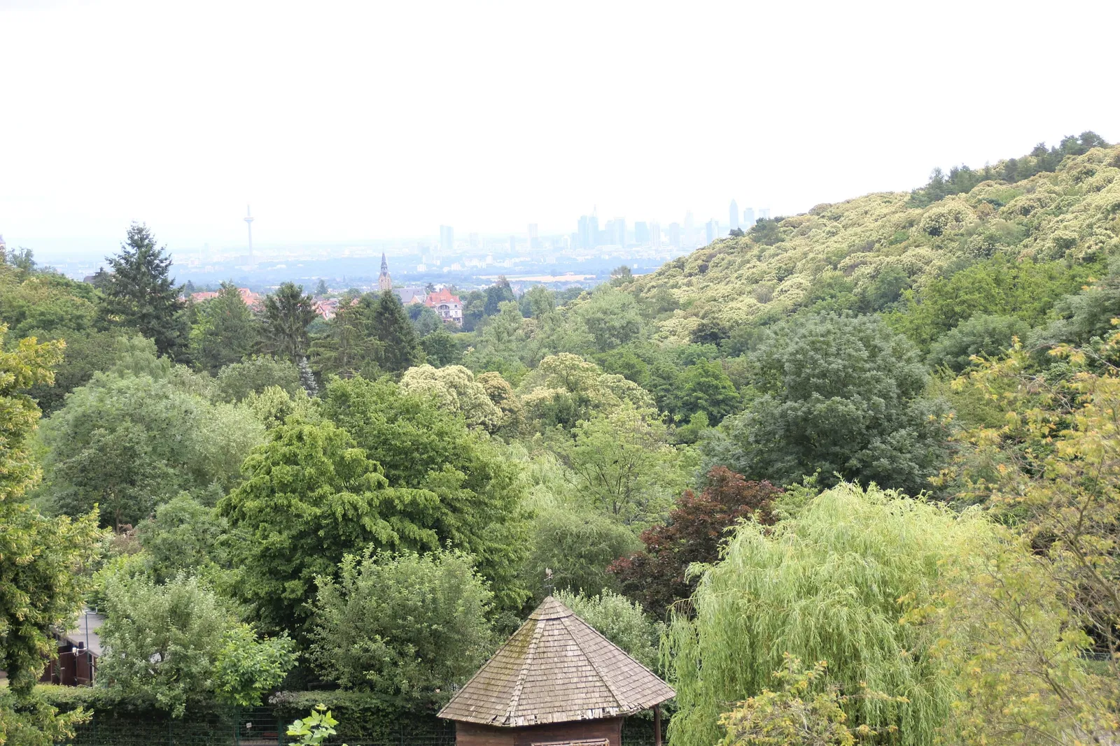 von Opel Hessische Zoostiftung