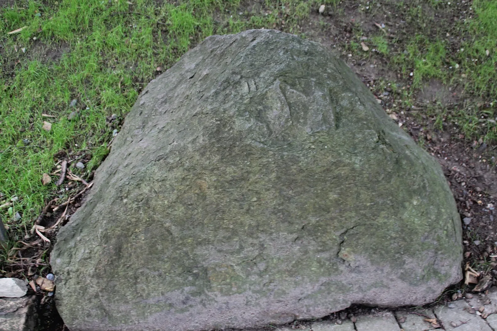 von Opel Hessische Zoostiftung